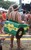 ������ ������ love tractor